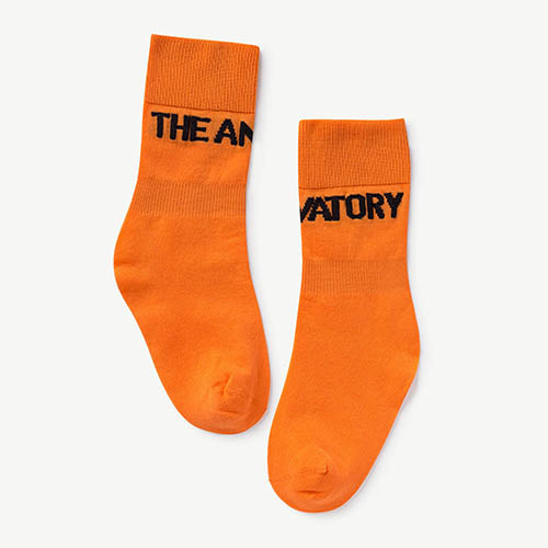 Worm Socks 1097_037 (orange)