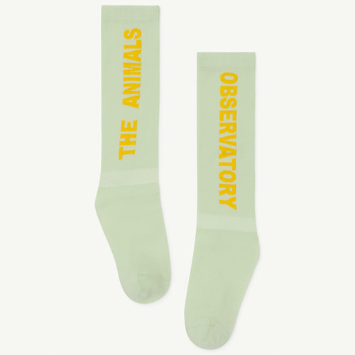 Worm Socks 1213_191 (soft green)