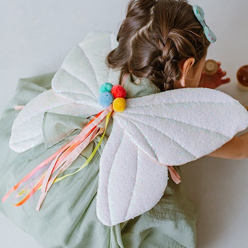 Tinker Bell Fairy Wings