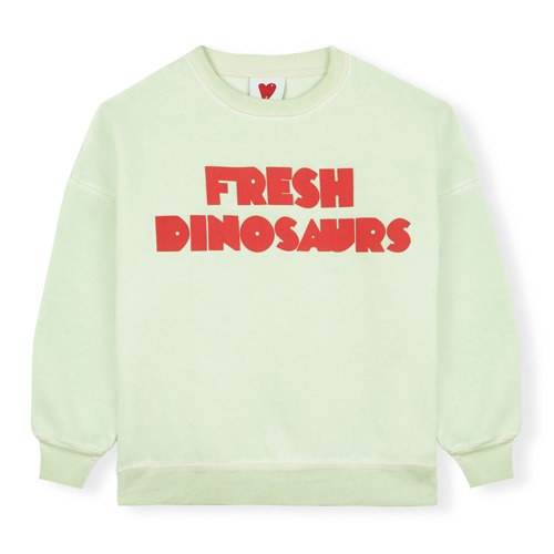 [12y]FD Green Sweatshirt #649