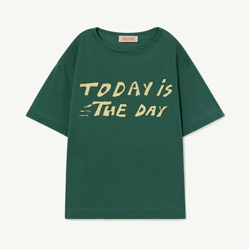 [2/4y]Rooster Oversized Tshirt green 23002-146-BF