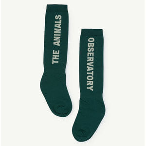 Worm Socks (turquoise)