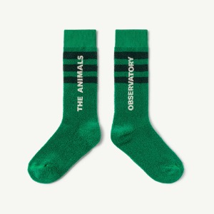 Skunk Socks green 22084-188-ET