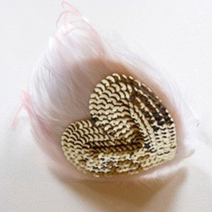 [4차재입고]Feather Hairband (gold)