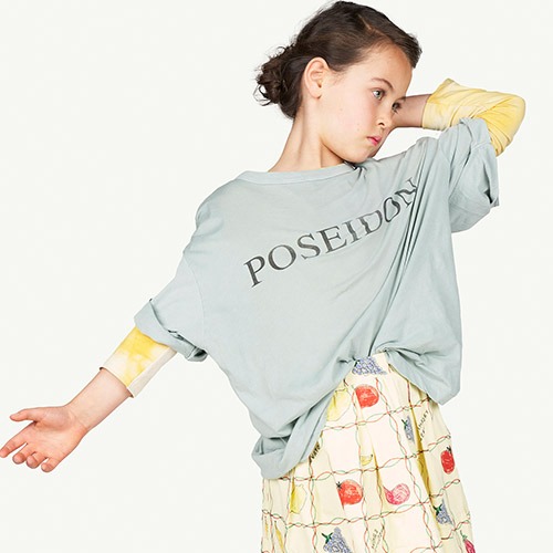 Rooster Oversized Tshirt soft green 21051_148_FB