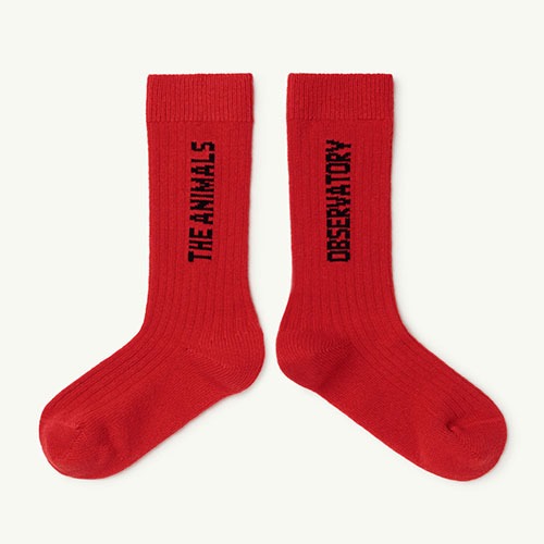 [재입고]Worm Socks deep red 21158-038