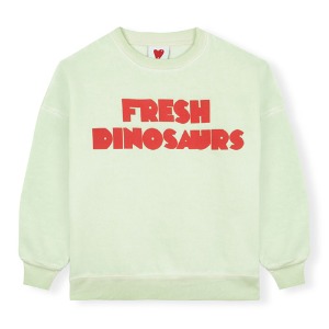 FD Green Sweatshirt #649