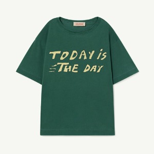 Rooster Oversized Tshirt green 23002-146-BF