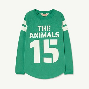 [6y]Anteater Tshirt green 23008-028-BV