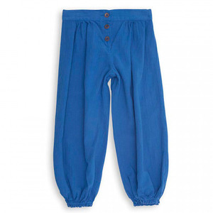 Aerien Pants (bleu capitaire)